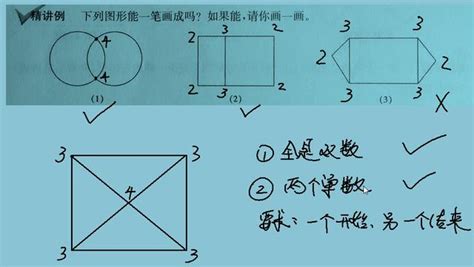 奇數點是什麼|【奧數揭秘】奇數與偶數